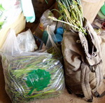 10-05-15warabi2.jpg