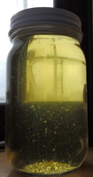 R15-01-11.jpg
