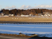 E15-01-24.jpg