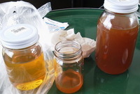 oil&BDF12-04-1.jpg