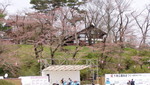 senshu-ninomaru10-04-25.jpg
