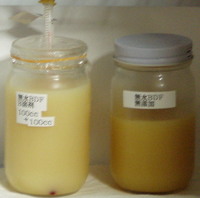 shouseki-11-04-26-2.jpg